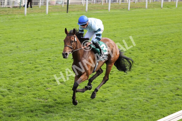 yr19082022r2-37 - Race 2 2.25pm Weatherbys Hamilton Lonsdale Cup (British Champions Series Race)