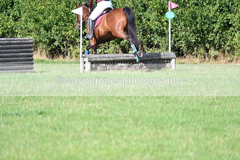 WJ7_9729 - Time 12:12 to 12:40