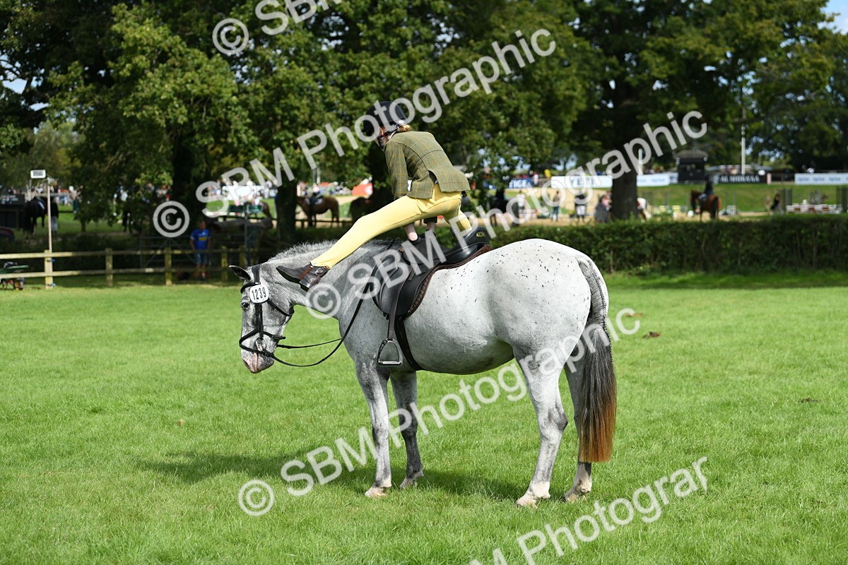 SBM_46882 - S12 - Family Horse & Pony