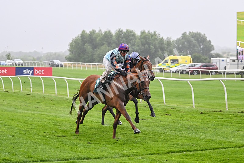 230725-Race 4-Brave Emerald-0219 - Race 4