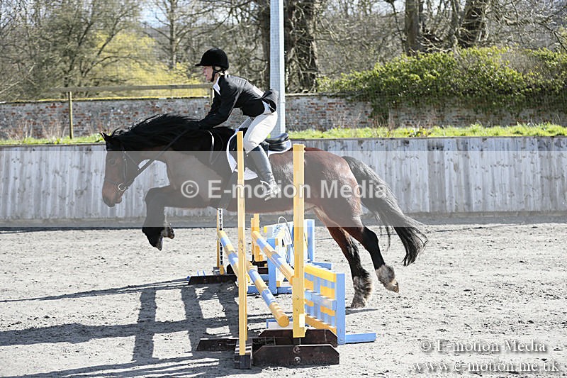 BVRC SJ 170319 158 - Bourne Valley Riding Club Showjumping 17/03/19
