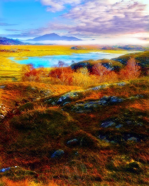 Kentra Bay Lochaber Highlands Scotland - Land