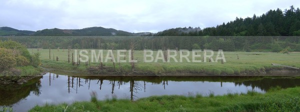 Wet lands - Panoramic