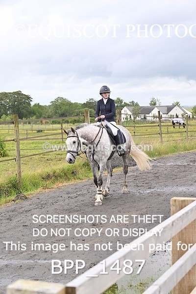 BPP_1487 - CLASS 11 SAT Ariat Senior BritiNovice 2ND ROUND