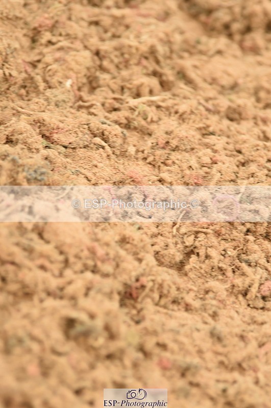 230610A-154250-04097 - Cls 25 Team Competition