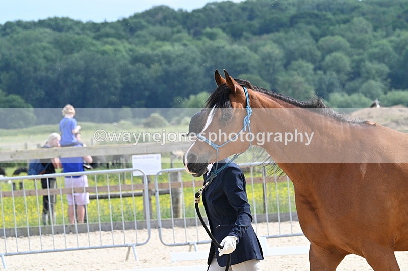 WJ7_8213 - Time 16:10 to 16:25