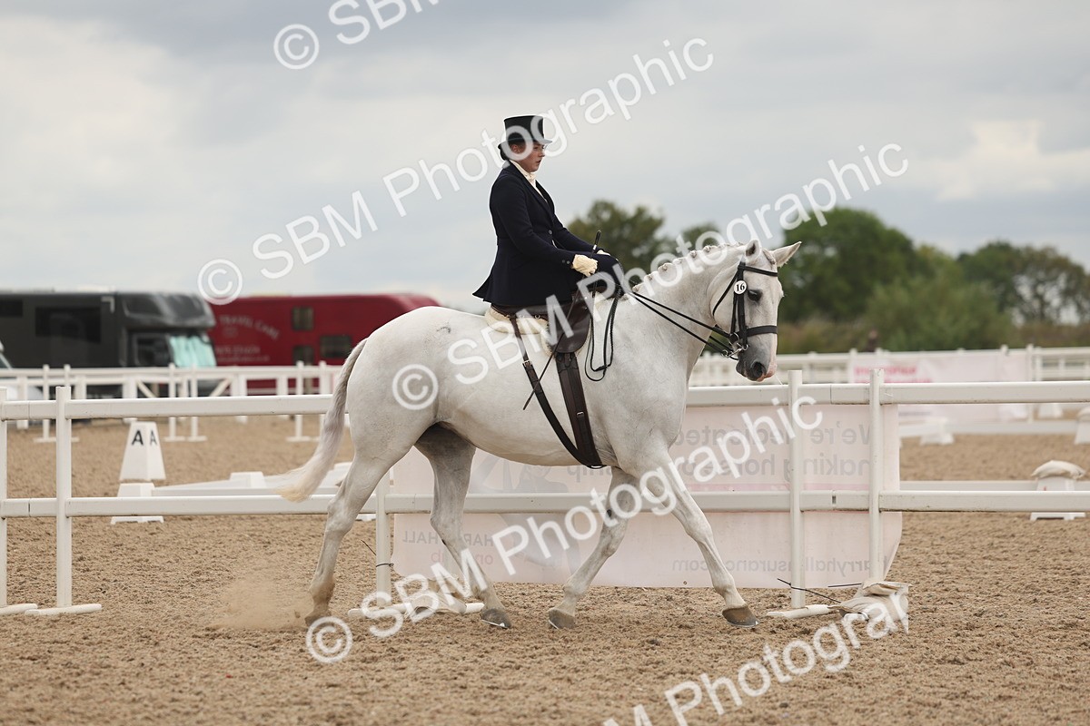 SBM_06408 - Class 23 - SSA - Classical