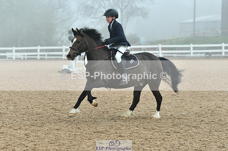 230514A-093643-02091 - Cls 21 British Novice & 80cm Open