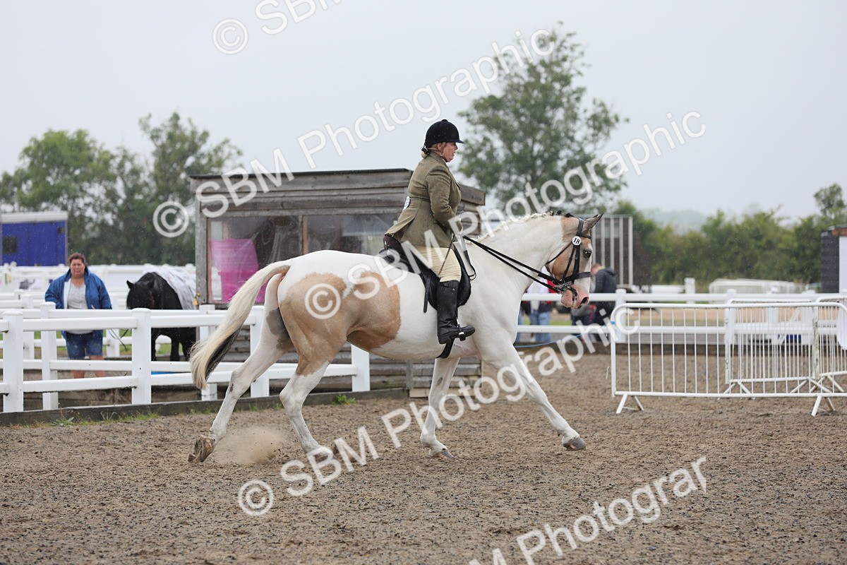 SBM_20296 - Class 803 - Ridden Combination 65+