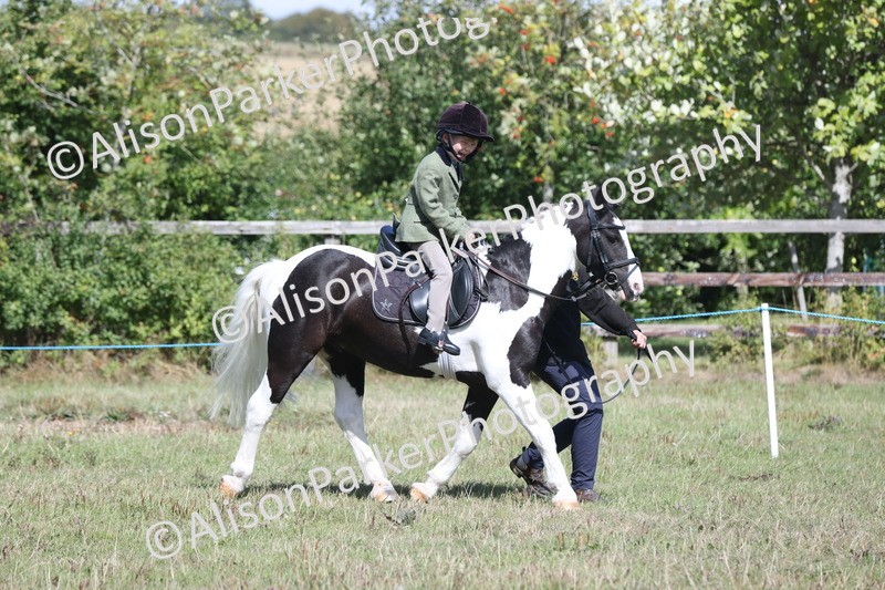 20250831-2673 - Class 17 - Lead Rein Pony