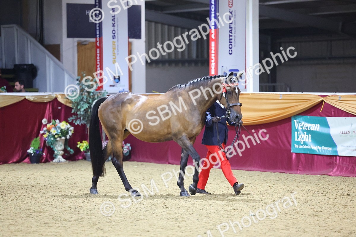 0B8A4818 - Class T Champion of Champions