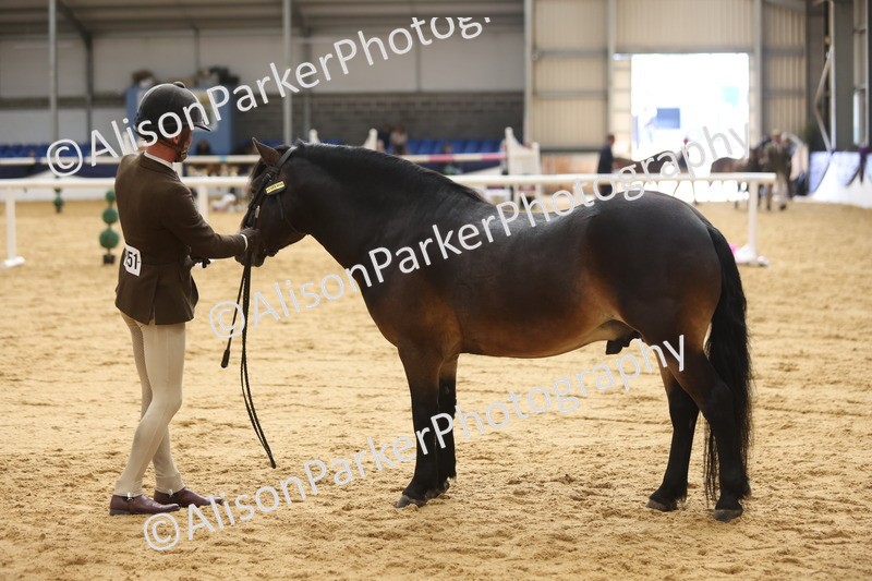 20260913-0653 - Class 126 - Novice Ridden
