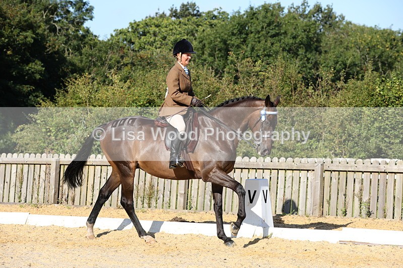1X9A7552 - Class 7: Novice Ridden Hunter/Hack/Cob/Riding Horse