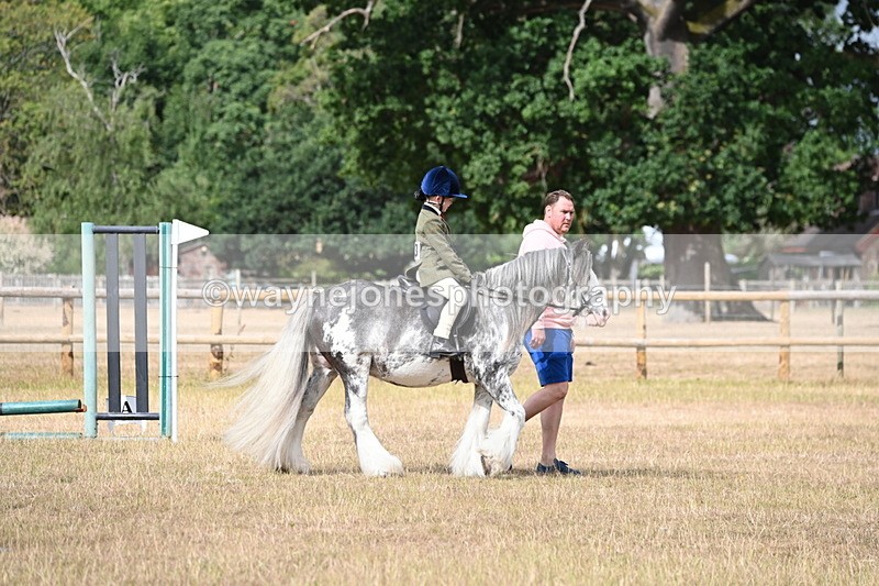 WJ6_7568 - Class 9 Tack and Turnout