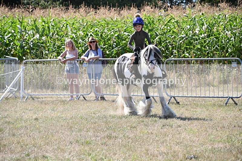 WJ6_8966 - Class 38 Ridden Riding Horse/Pony