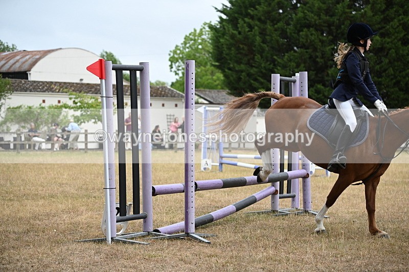 WJ6_0136 - Class 13 Novice Jumping 60cm
