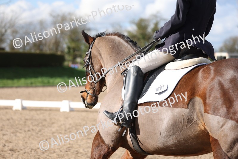 20260228-0841 - Class 6 - Novice 3