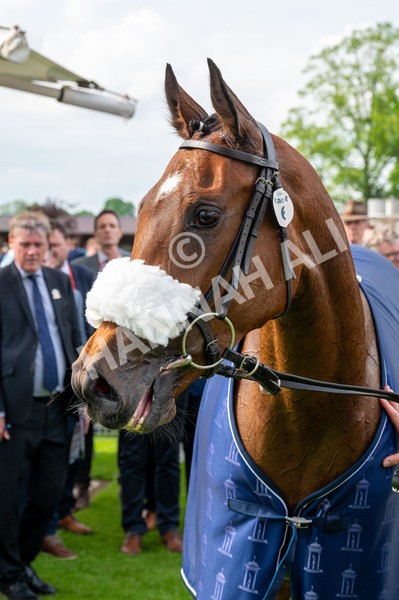 150524-Race 4-Secret Satire-7257 - Race 4 3.45pm Tattersalls Musidora Stakes