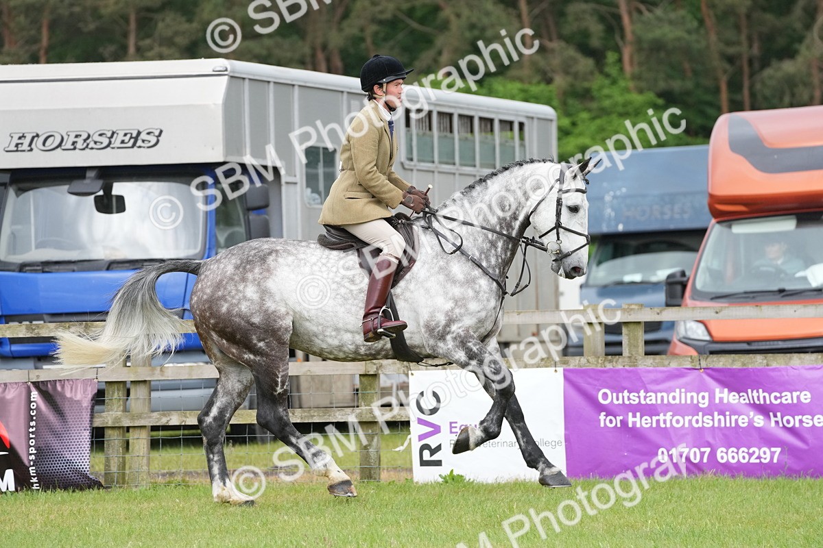 SBM_12661 - Class 97-98 - LIHS BSHA Rising Star Working Show Horse Hunter