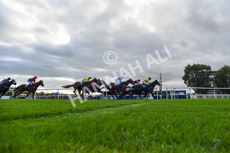 171026-Race 5-Brighton Boy-8932 - Race 5 3.25pm William Hill Epic Boosts Handicap (Div I)