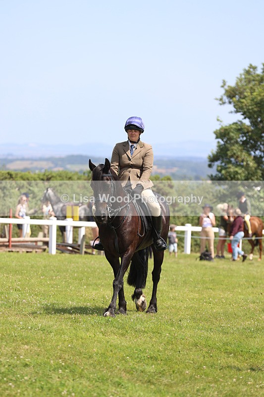 JPP_2526 - Class 21: Working Hunter 60cm