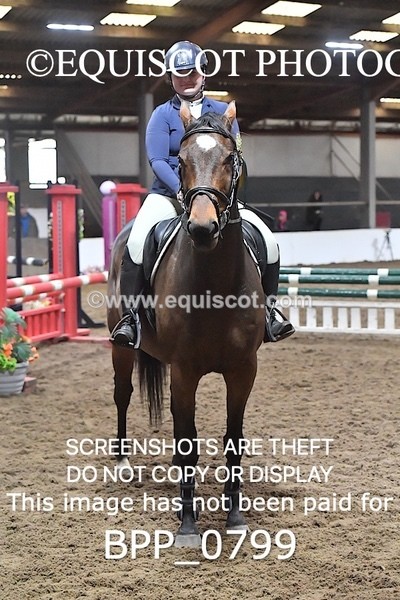 BPP_0799 - CLASS 1 Club/ Unaffiliated 80cms Open