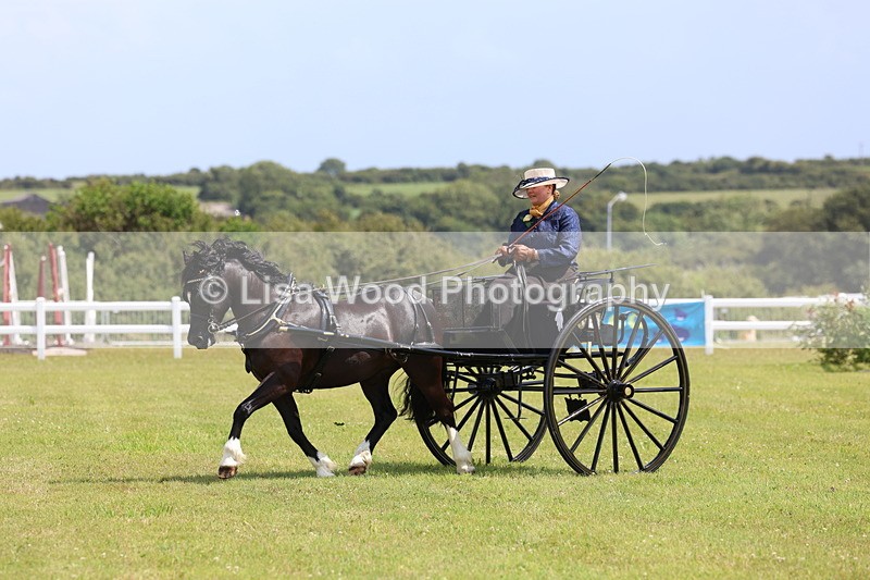 3E7A2695 - Class 12: Open Driving