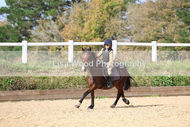 3E7A7578 - Class 3: 60cm open