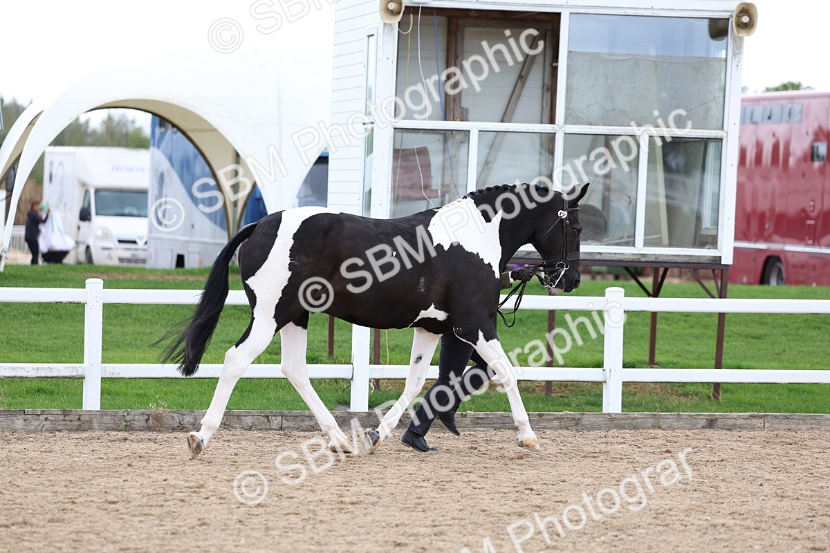 SBM_05012 - Class 27 - IH Competition Horse or Pony