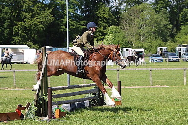 IMG_4355 - Working Hunter
