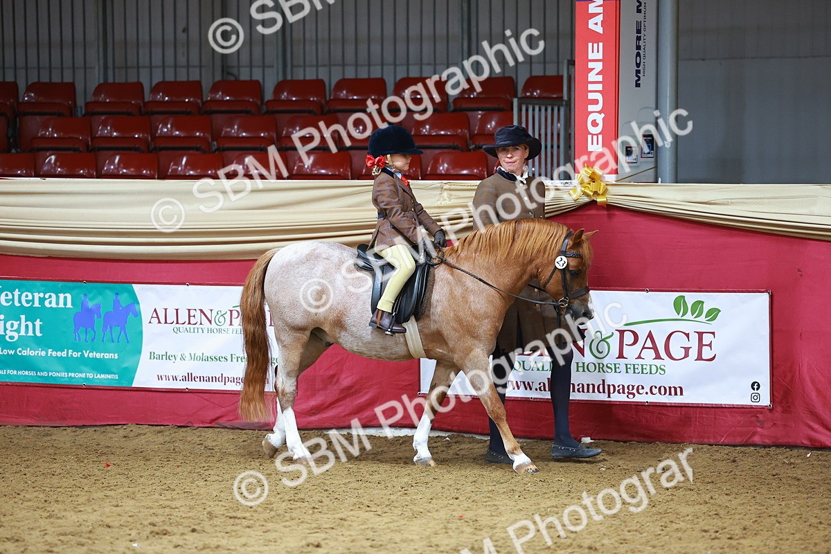 SBM_09352 - Class 102 - HOYS Veteran Qualifier - Ridden Veteran