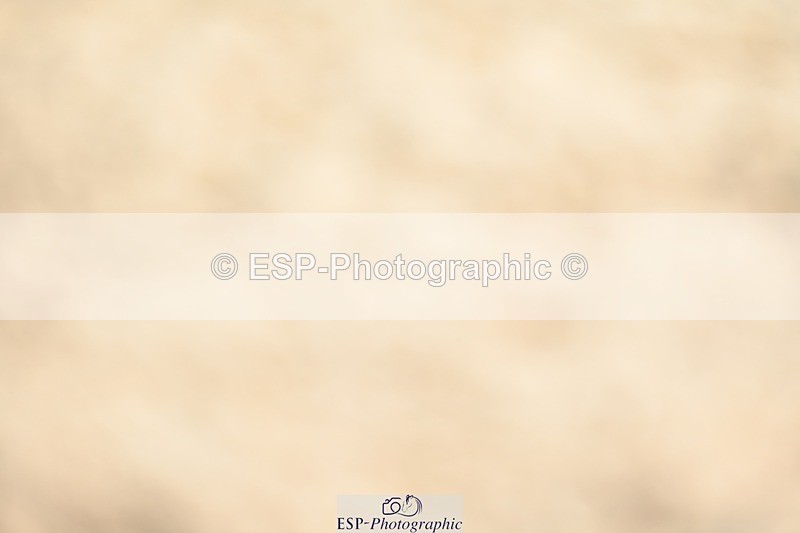 230813-124929-07160 - Cls 13 Medium Bronze Start to 13.00 break