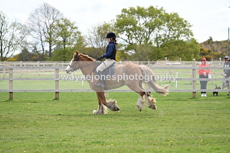 WJ7_6371 - 60cm Time 11:12 to 11:36