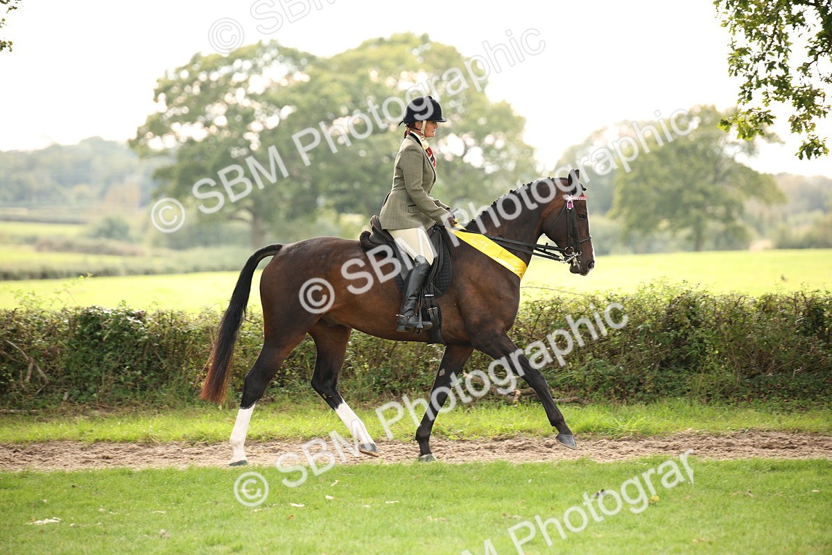SBM_73625 - Ridden Horse Supreme Championship