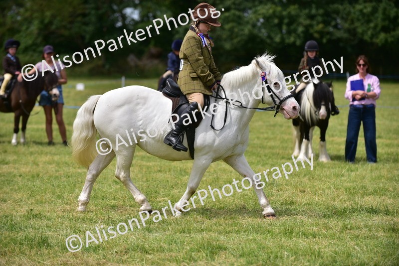20260614-3659 - Class 15 - Prettiest Mare