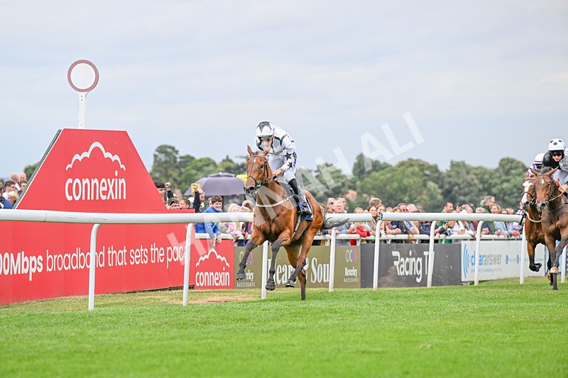 150824-Race 2-Greek Gift-4083 - Race 2