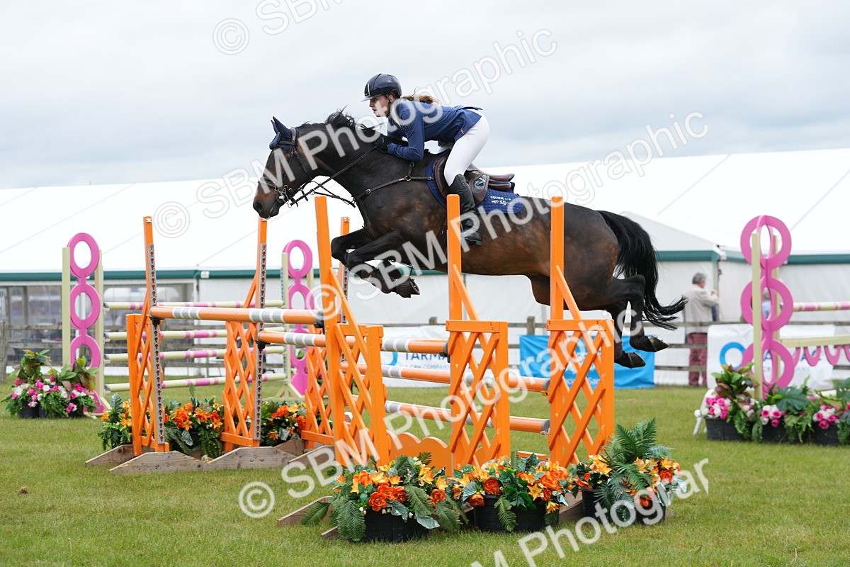 SBM_03044 - Class 201 - British Horse Feeds Speedi Beet Horse of the Year Show Grade  C