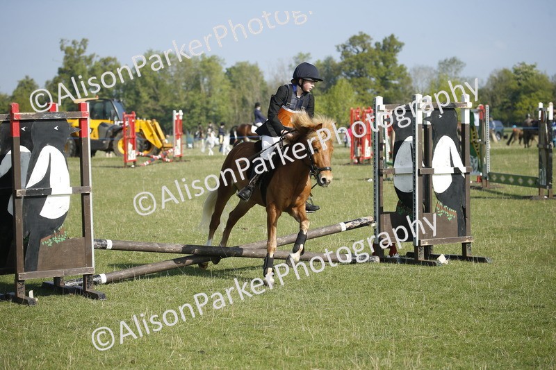 20250427-0244 - Class 12 - Rookie Jumping 40cm