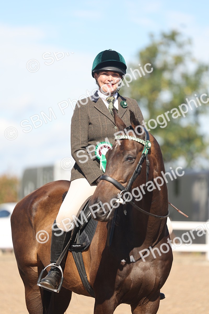 SBM_13136 - Class 305 - Ridden Foreign Breed Pure Bred