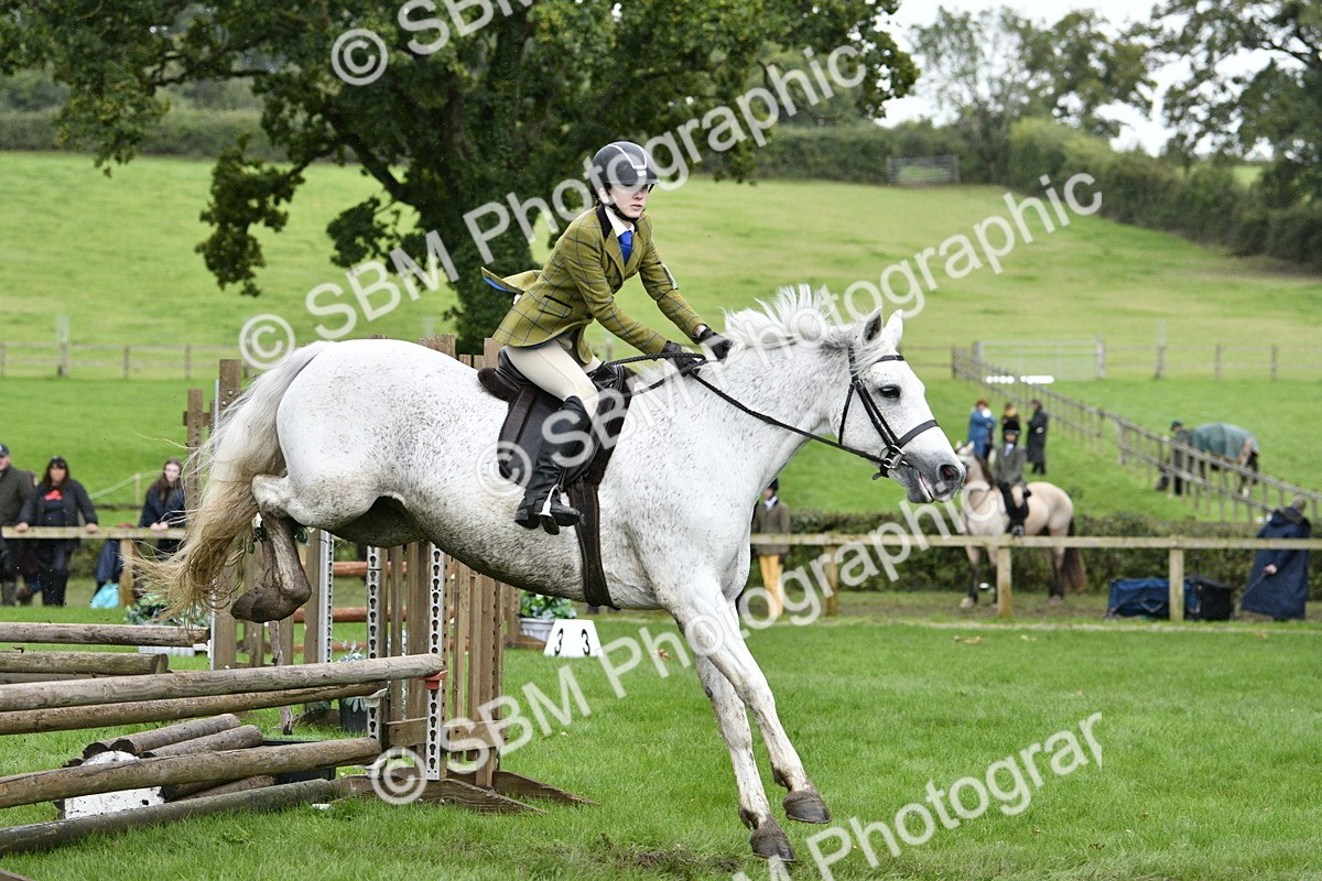 SBM_42256 - S32 - Mountain & Moorland Working Hunter Pony