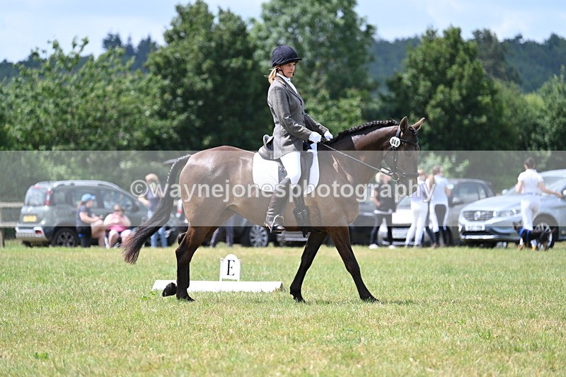 WJ7_4869 - Time 11:22 to 11:51