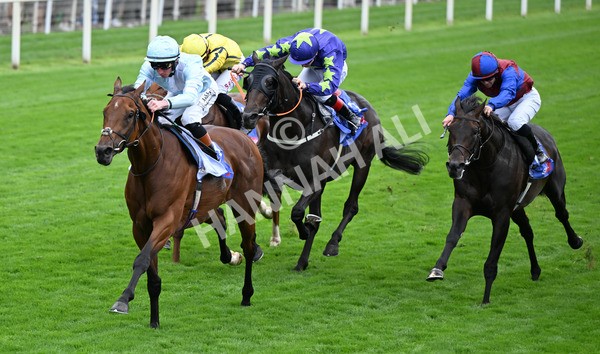 200825-095 Pride Of Arras - Race 3 3.00pm Sky Bet Great Voltigeur Stakes