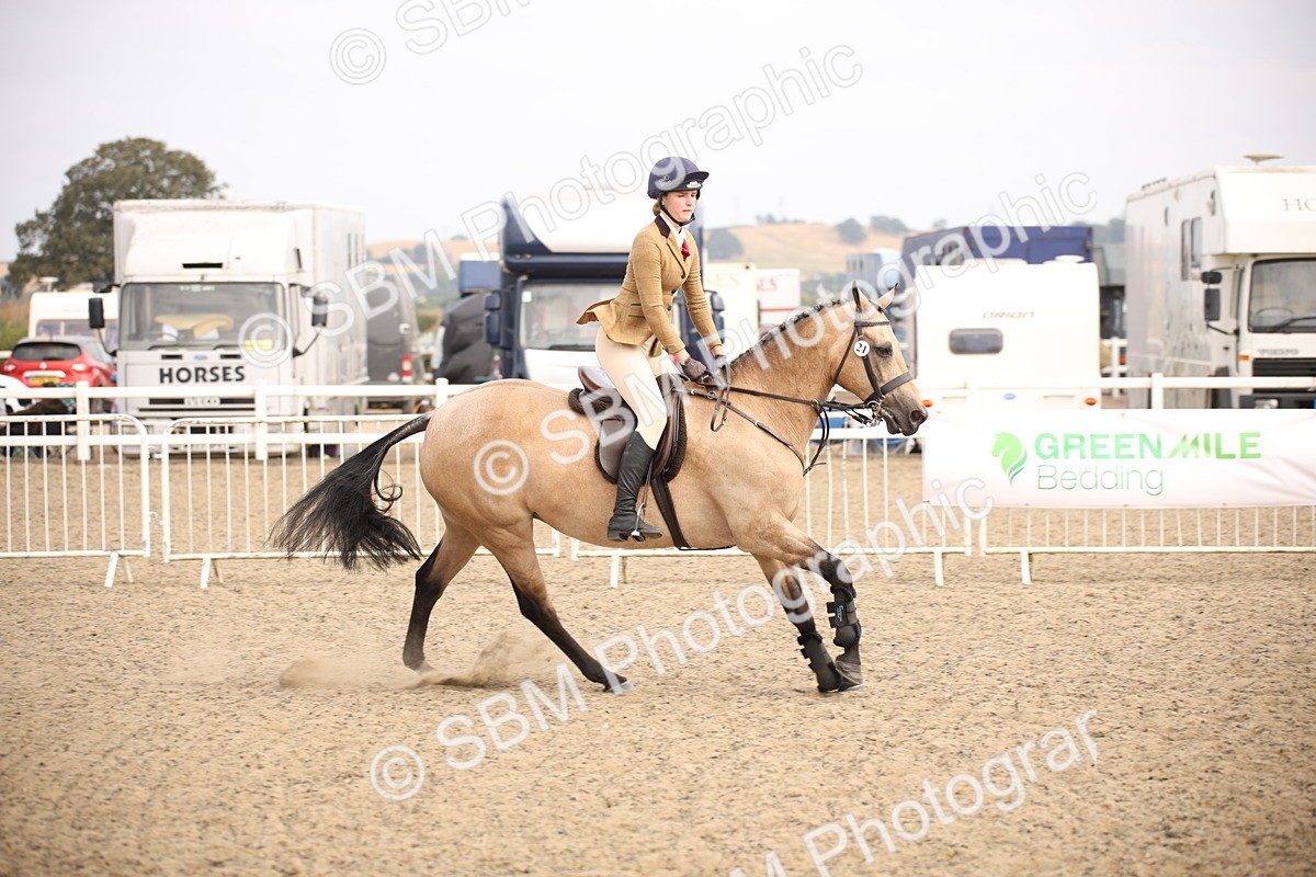 SBM_17154 - Class 409b - Working Veteran 80cm (20+)