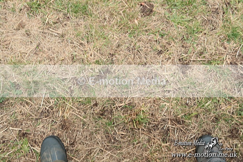 PtPres 160225138 - Presentations Combined Services PtP 16/02/25