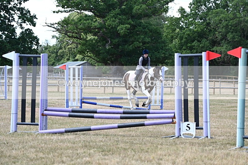 WJ6_5800 - Class 13 Novice 60cm