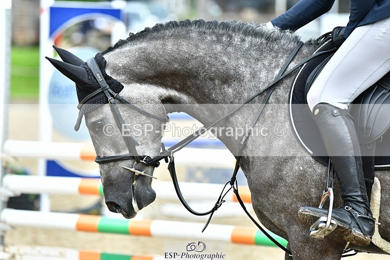 230715-093021-32241 - Cls 84 4 yr old Champ