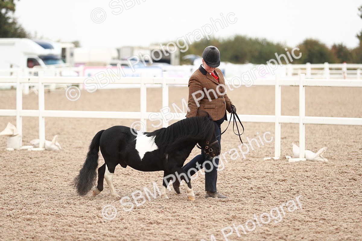 SBM_12396 - Class 207 IH M&M