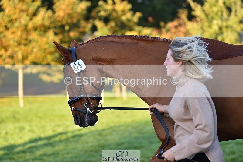 231022-084606-21347 - 625-KILTRA.ALFY-Abi.Meredith-TrotUp+SJ