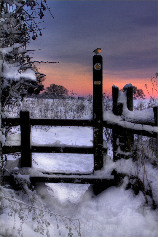Worcestershire in the Snow - Worcestershire