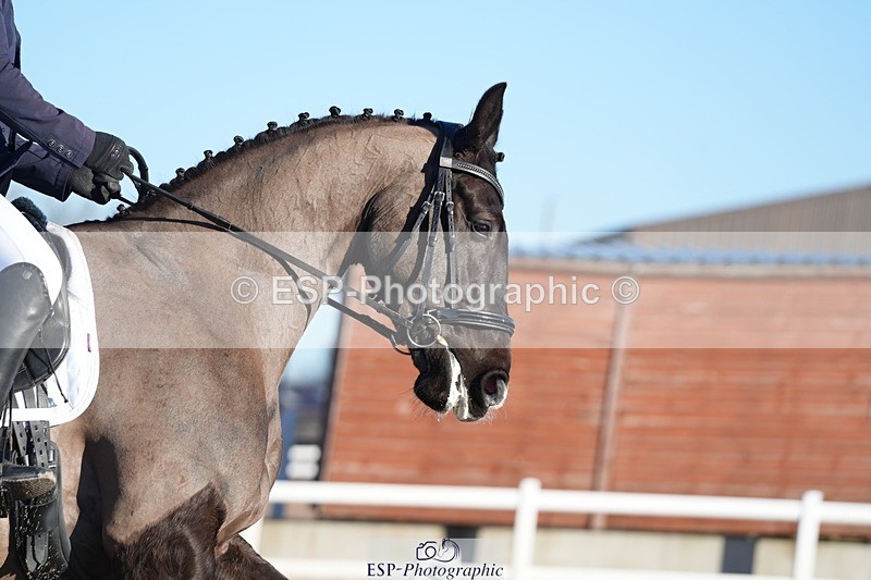 260214-093236-03047 - 129-Theo.Funnell